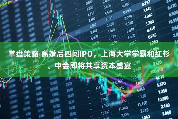 掌盘策略 离婚后四闯IPO，上海大学学霸和红杉、中金即将共享资本盛宴