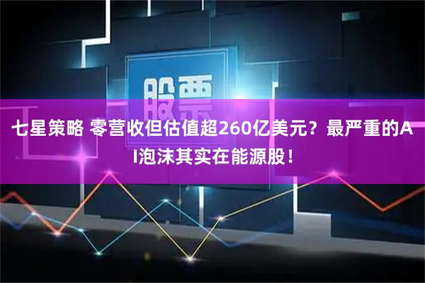 七星策略 零营收但估值超260亿美元？最严重的AI泡沫其实在能源股！