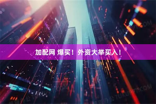 加配网 爆买！外资大举买入！