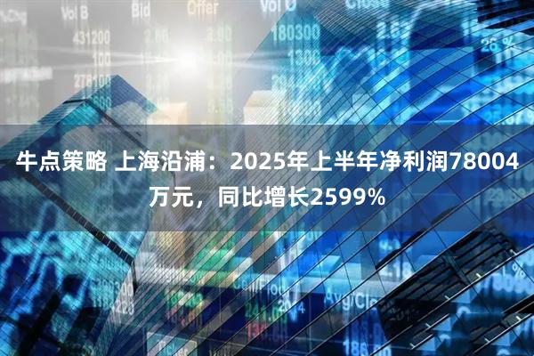 牛点策略 上海沿浦：2025年上半年净利润78004万元，同比增长2599%