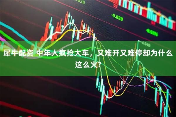犀牛配资 中年人疯抢大车，又难开又难停却为什么这么火?